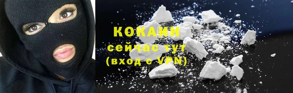 прущие крисы Ельня