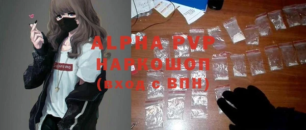 прущие крисы Ельня