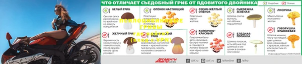 прущие крисы Ельня